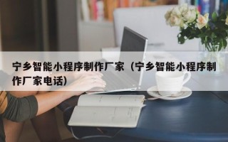 儋州宁乡智能小程序制作厂家（宁乡智能小程序制作厂家电话）